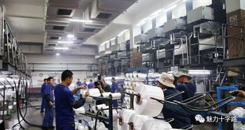 鏡頭記錄變遷，筆墨書寫新篇——十字路街道舉辦攝影與文學創作采風活動